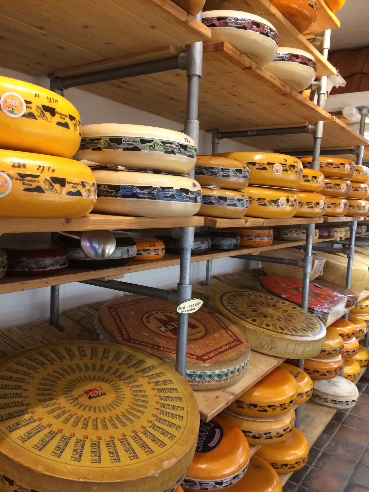  Beautiful Dutch cheese rounds 
